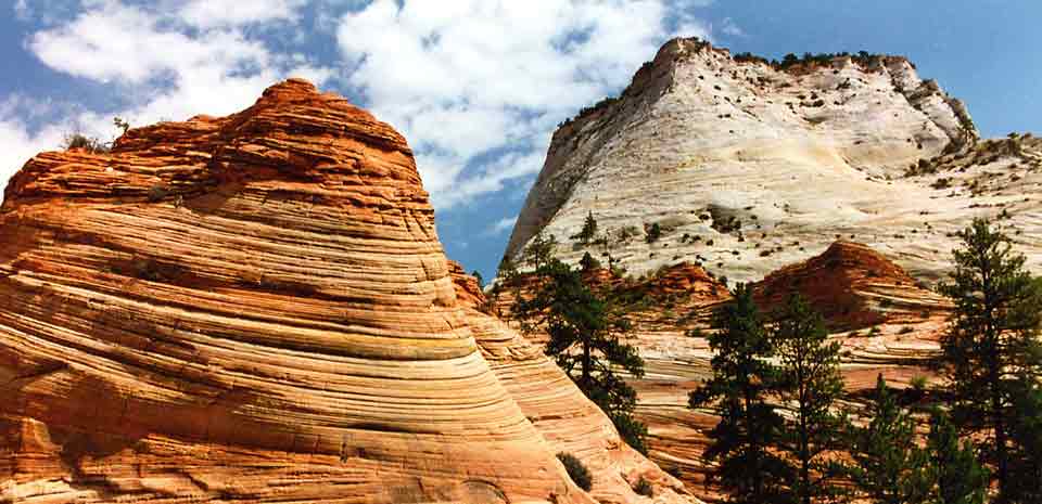 Zion National Park Tour3